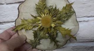 Eguzkilore artesanal sobre rodaja de árbol