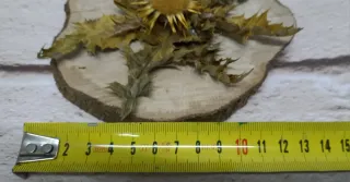 Eguzkilore artesanal sobre rodaja de árbol