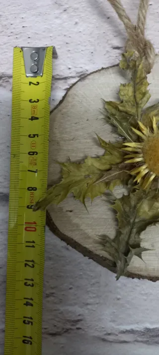 Eguzkilore artesanal sobre rodaja de árbol