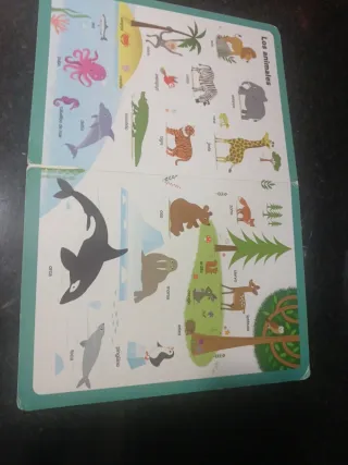 Mi primer diccionario MAXI