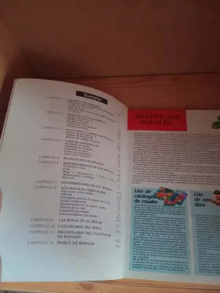 Rosas: manual de cultivo y conservación