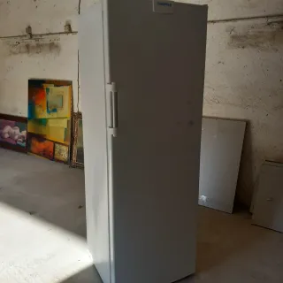 Congelatore EUROFRED