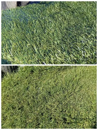 Césped artificial reciclado