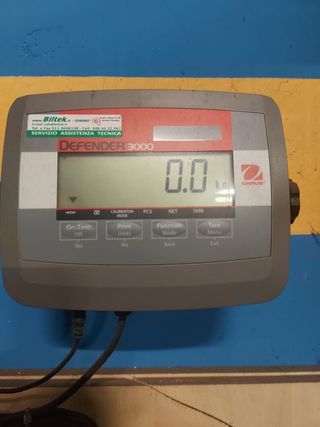 Bilancia a pavimento per pallet