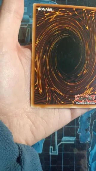 Corvo D.D. Rara Ultimate