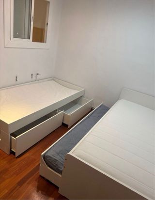 montador profesional