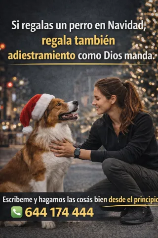 Educación canina profesional