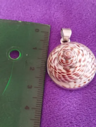 Colgante Plata Ley Concha Artesanal