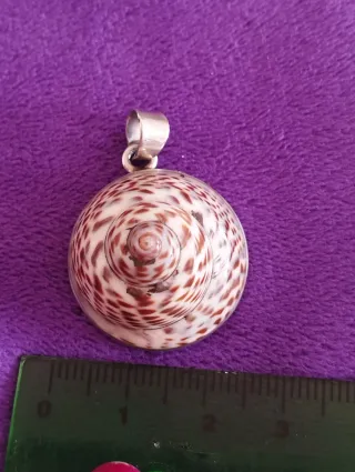 Colgante Plata Ley Concha Artesanal