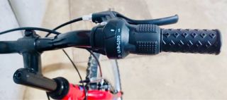 Bicicleta Infantil Neon 20 Roja