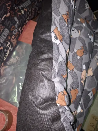 2 Lettini per Cani con Design Divertente