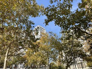 Oficina en alquiler en Paseo Independencia en Zaragoza