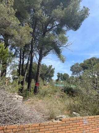 Terreno en venta en Figuerola del Camp