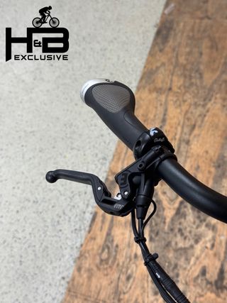 Riese & Müller Homage GT Rohloff 2022