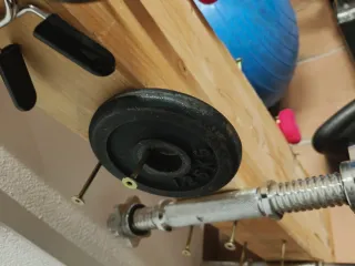 Barra con pesas de discos para gimnasio