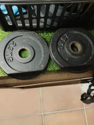 Barra con pesas de discos para gimnasio