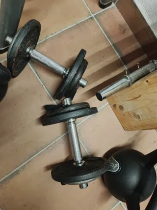 Barra con pesas de discos para gimnasio