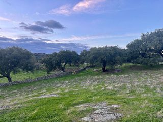 Terreno en venta en San Vicente de Alcántara