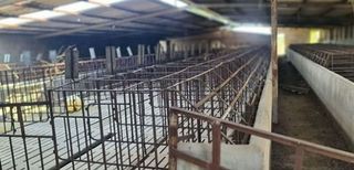 Nave industrial en venta en Riudoms