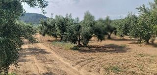 Nave industrial en venta en Riudoms