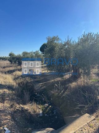 Terreno en venta en Don Benito