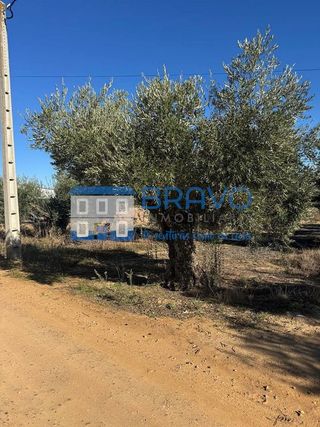 Terreno en venta en Don Benito