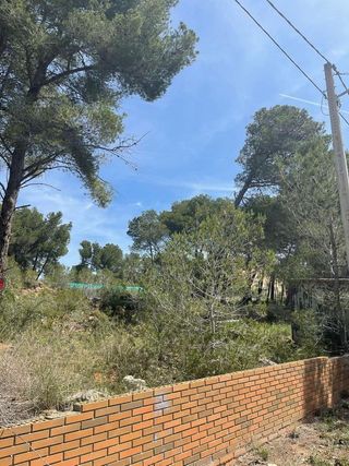 Terreno en venta en Figuerola del Camp