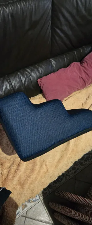 Scala per divano per cani blu