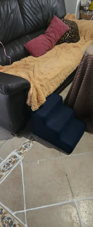 Scala per divano per cani blu