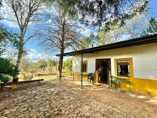 Terreno en venta en Valdepeñas