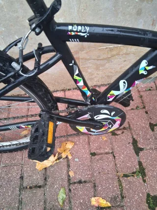 Bicicleta Decathlon Puply Rueda 24