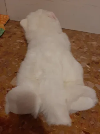 Gatto peluche bianco con orecchie rosa, anni 80