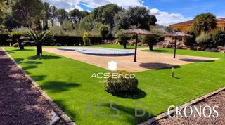 Césped Artificial 50 mm - Camelia 50