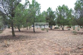 Terreno en venta en Tomelloso