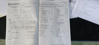 Teclado Casio CTK 7000, Sintetizador y Hammond org