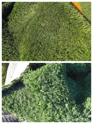 Césped artificial reciclado