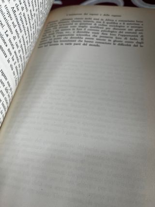 la montagna dello splendore