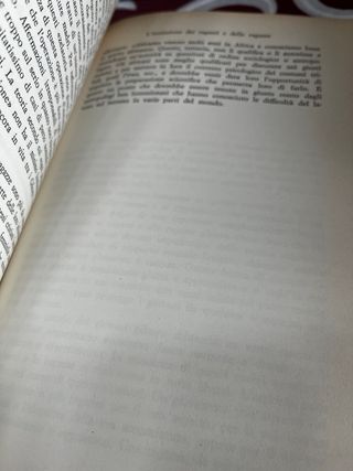 la montagna dello splendore