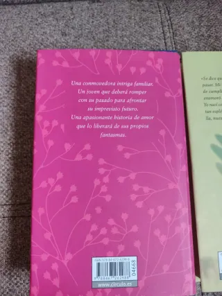 Amanecer contigo La extraordinaria historia de Ava