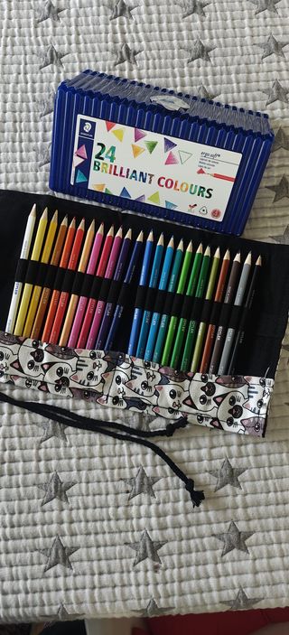 Lápices de Colores Staedtler 24 Brillantes