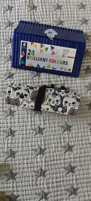 Lápices de Colores Staedtler 24 Brillantes