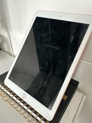 Apple iPad Dorado y Blanco