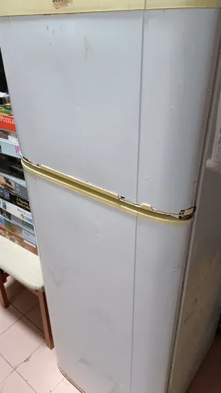 Nevera frigorífico Bluesky