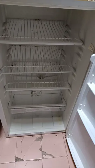 Nevera frigorífico Bluesky