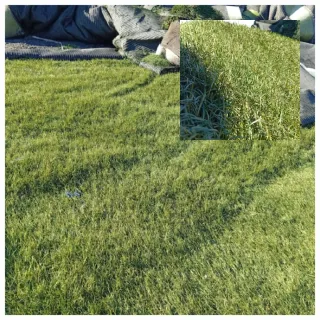 Césped artificial reciclado