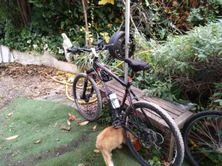 Bicicleta XRT 24 KOLs