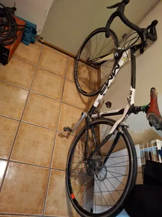 Bicicleta MMR Miracle Carbono