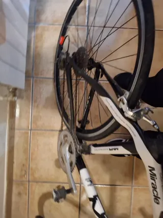 Bicicleta MMR Miracle Carbono