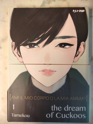 Lotto di Manga 160 – Vari Titoli