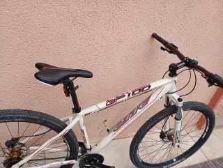 Bicicleta Otte 29 Alluminio